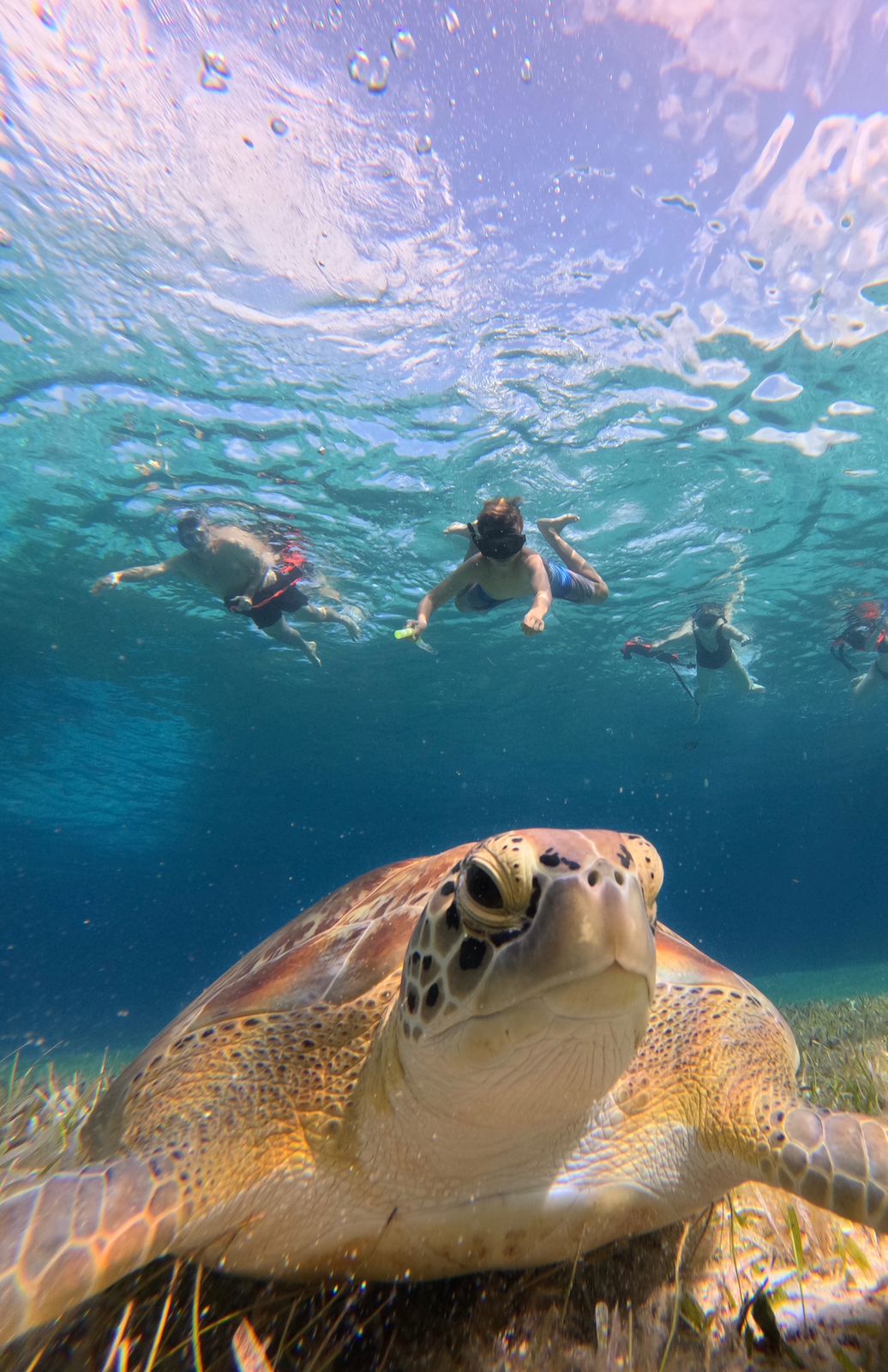 whatsapp image 2025 12 06 at 6.32.11 pm (2)