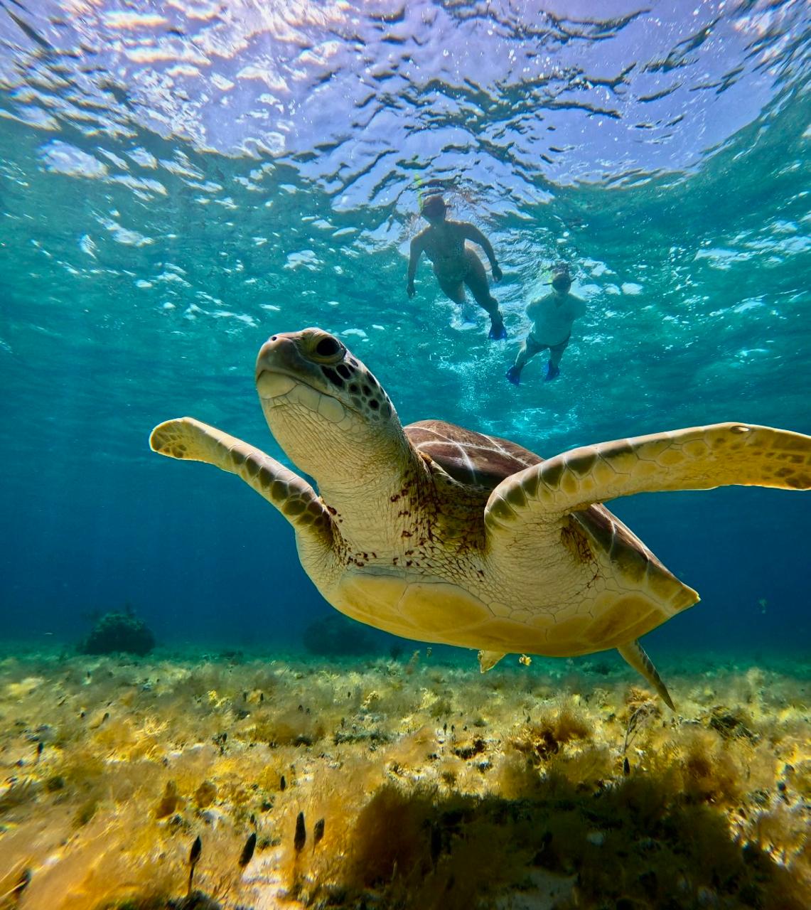 whatsapp image 2025 12 06 at 6.32.22 pm (2)