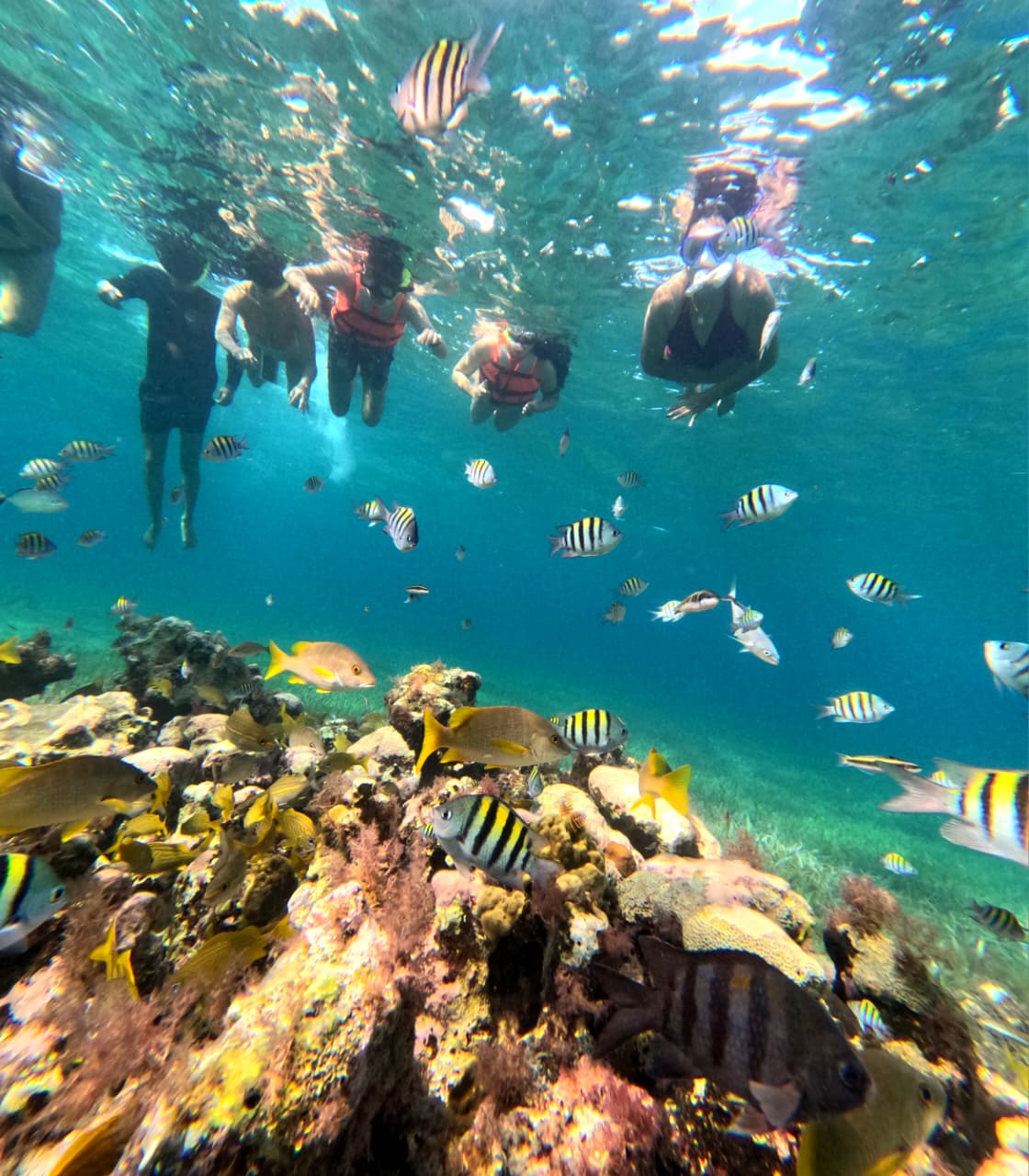 whatsapp image 2025 12 06 at 7.46.31 pm (1)