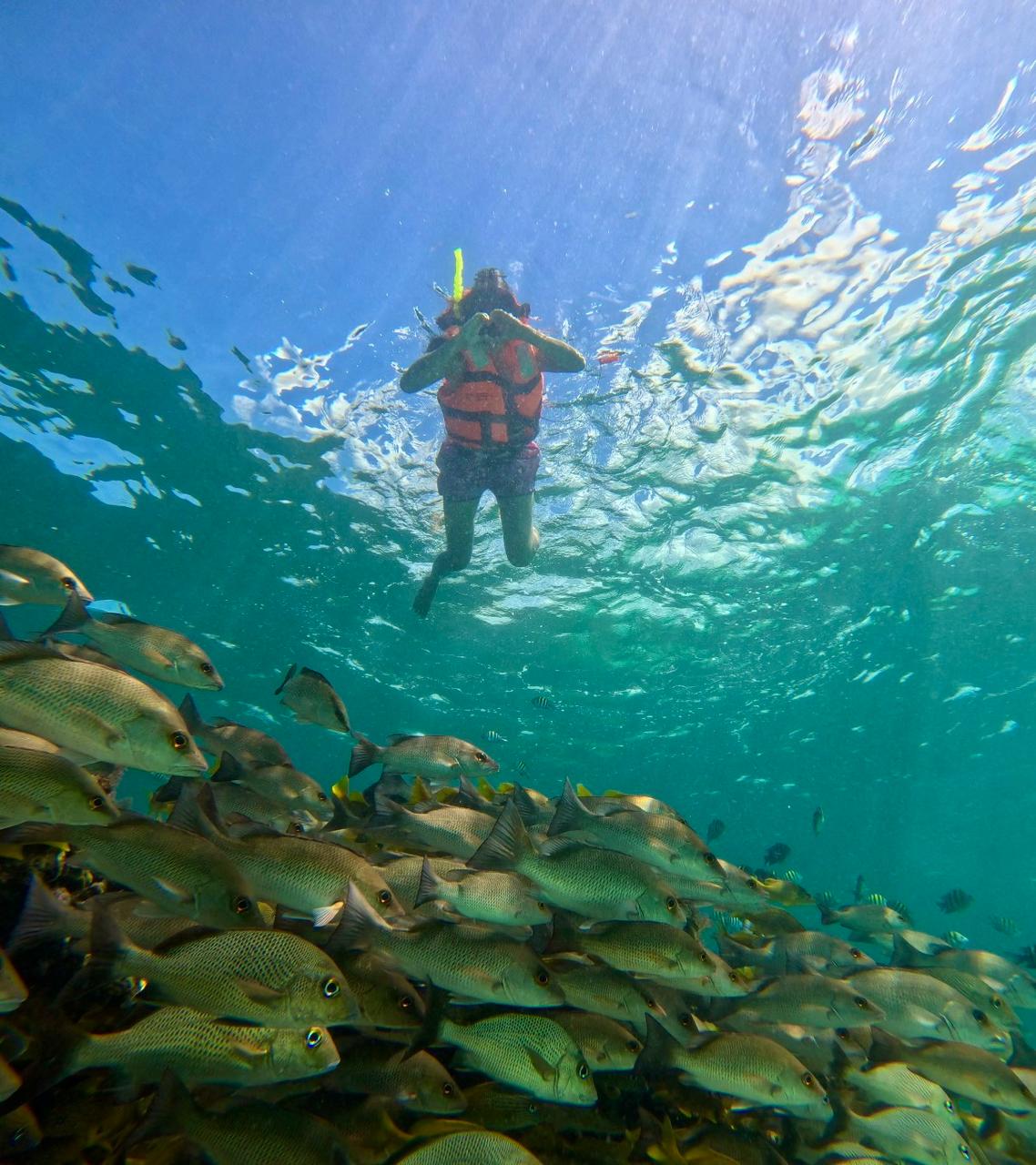 whatsapp image 2025 12 06 at 7.46.33 pm (1)