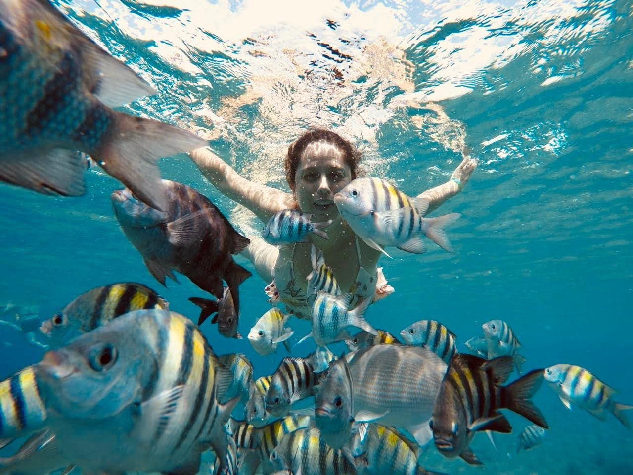 whatsapp image 2025 12 06 at 7.46.33 pm