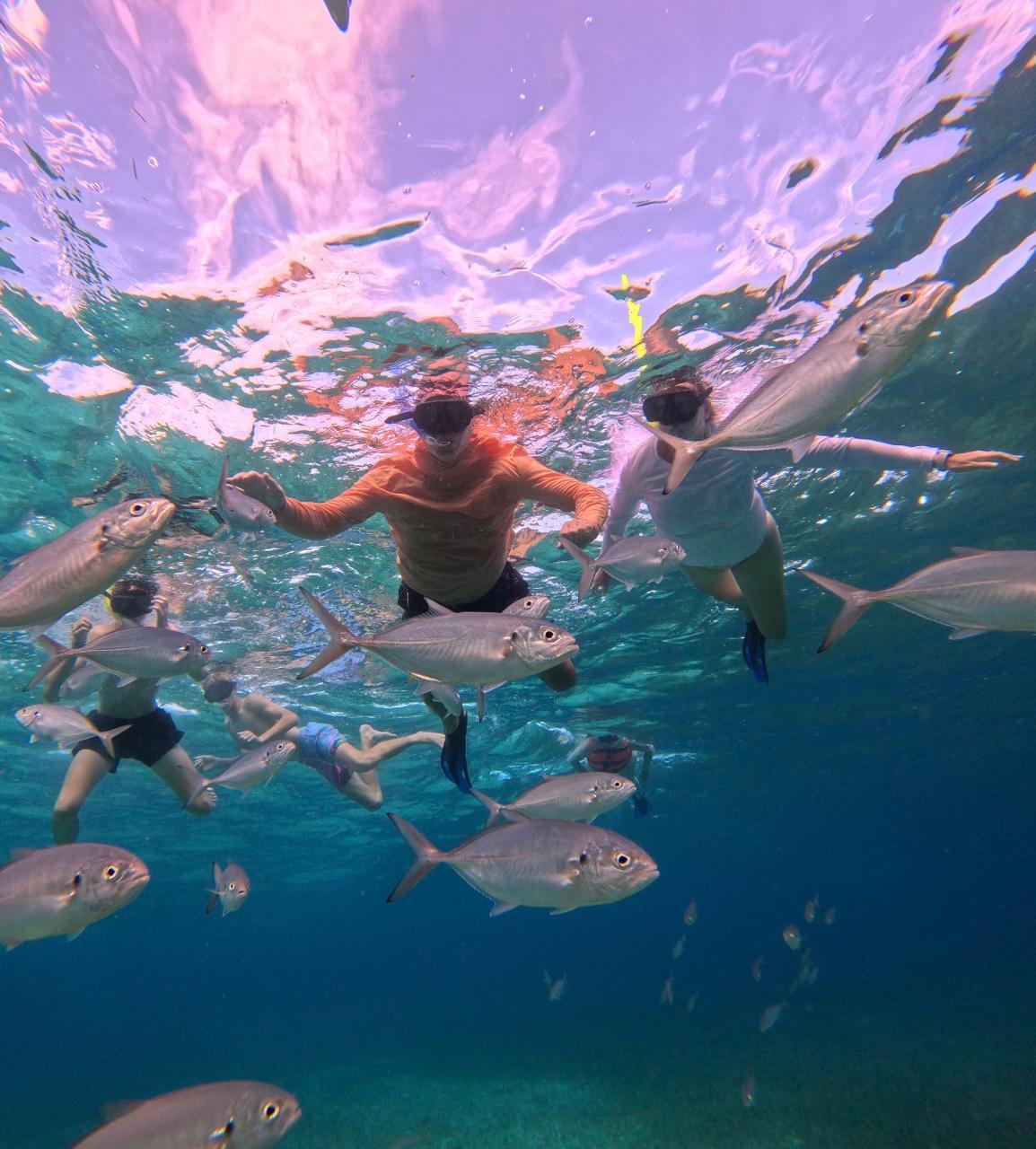 whatsapp image 2025 12 10 at 11.45.07 pm