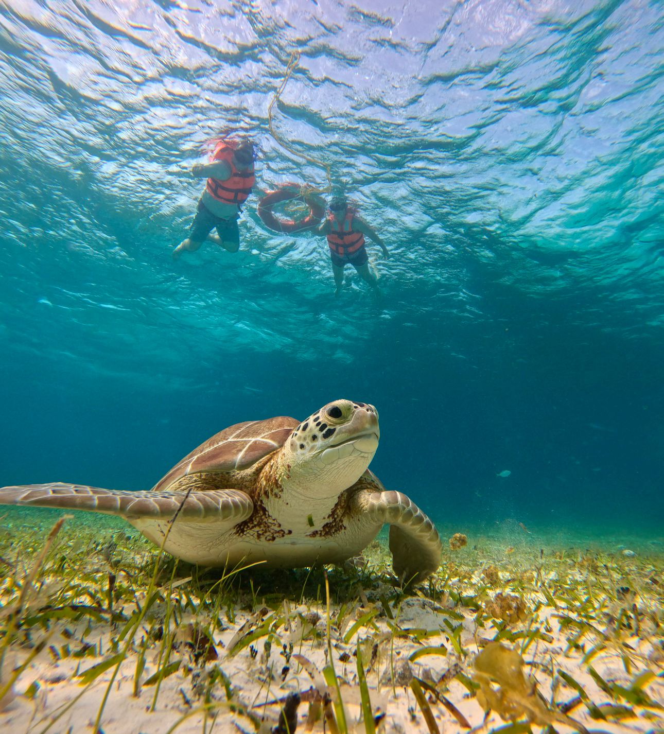 whatsapp image 2025 12 10 at 11.45.09 pm (1)