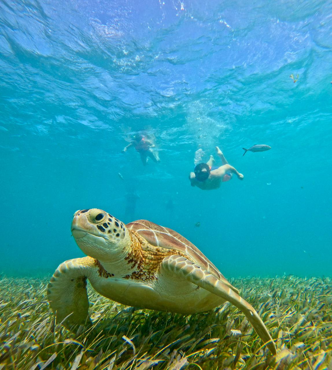 whatsapp image 2025 12 10 at 11.45.12 pm (1)