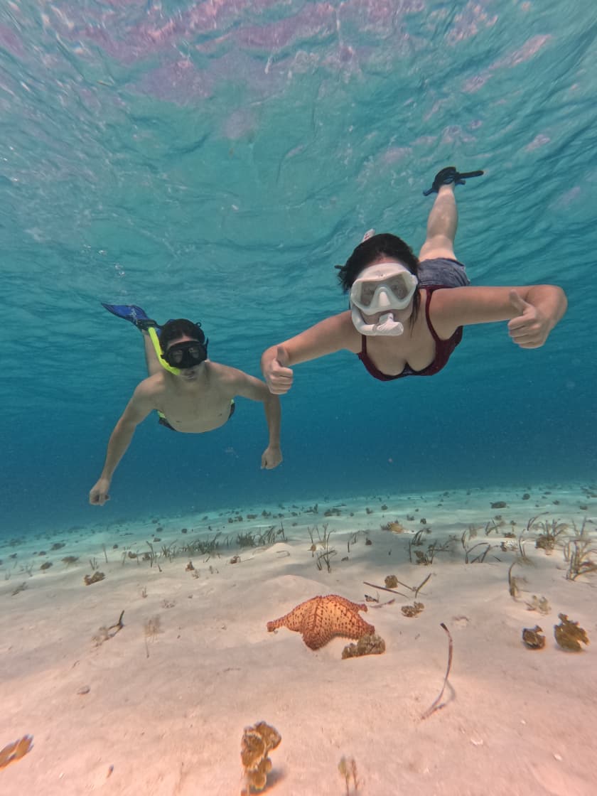 whatsapp image 2025 12 12 at 8.39.55 pm (1)