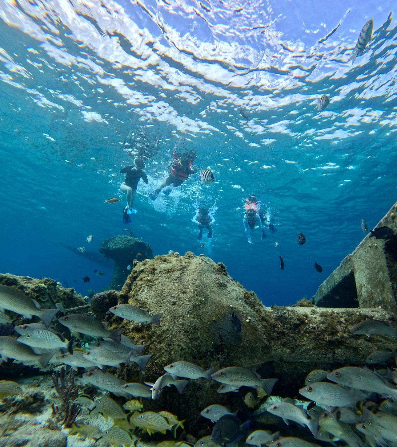 whatsapp image 2025 12 20 at 6.49.45 pm (1)