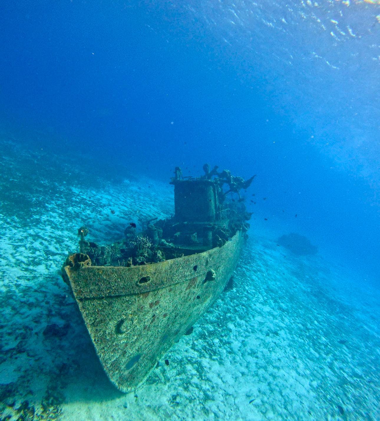 whatsapp image 2025 12 20 at 6.49.45 pm (3)