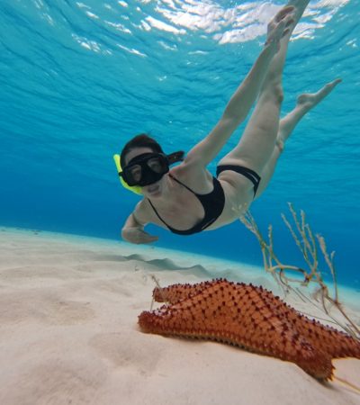 whatsapp image 2025 12 06 at 6.32.12 pm (1)