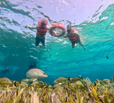 whatsapp image 2025 12 06 at 6.32.21 pm (4)