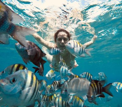 whatsapp image 2025 12 06 at 7.46.33 pm