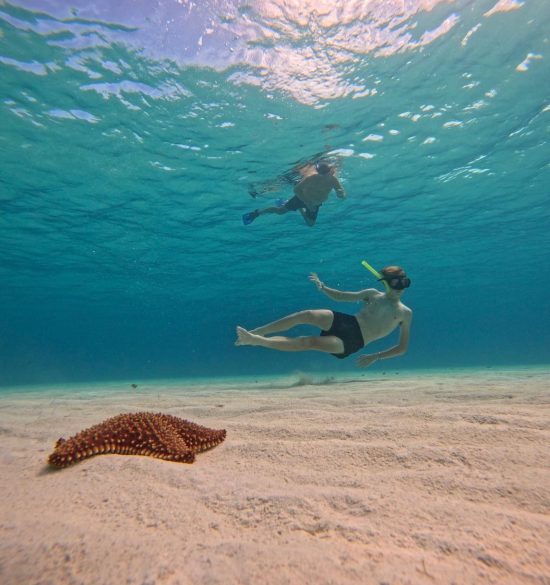 whatsapp image 2025 12 10 at 11.45.08 pm (4)