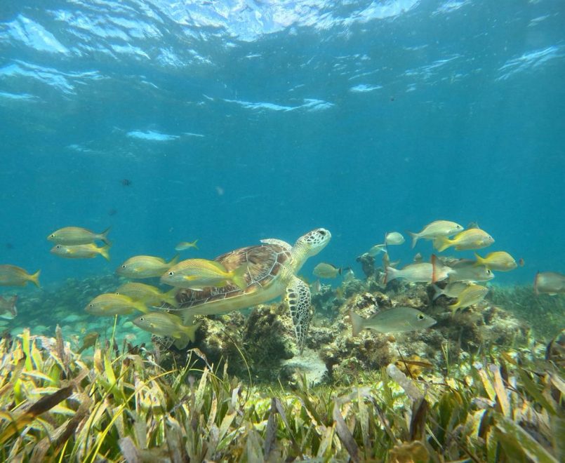 whatsapp image 2025 12 10 at 11.45.11 pm (3)